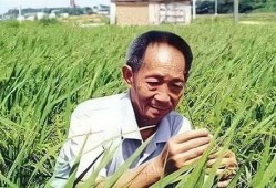 袁隆平知情人士爆料视频,视频爆料背后的真实故事