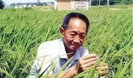 袁隆平知情人士爆料视频,视频爆料背后的真实故事