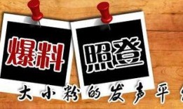 新闻爆料平台设计,如何助力舆论监督与真相传播