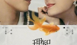 秦岚王鹤棣爆料视频,幕后故事引网友热议
