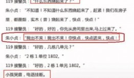 四会最近爆料案件最新进展,疑云重重，真相渐明