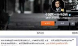 狗仔爆料后续事件视频,揭秘事件真相与幕后黑幕