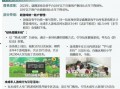 东营负面新闻爆料事件是真的吗,真相调查与舆论反思
