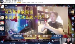 杨玉蓉爆料锤子哥视频,揭秘背后惊人真相