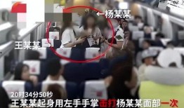 网友爆料泰安事件视频完整版,网友爆料揭示惊人真相