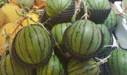 最新百万网红吃瓜图片,吃瓜现场揭秘！