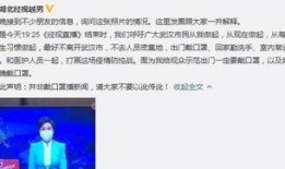 湖北经视新闻爆料,揭秘某重大事件背后真相