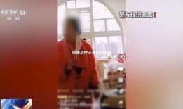 低俗网红爆料视频下载安装,下载安装背后的真相与反思